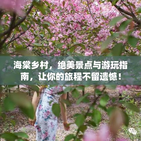 海棠乡村，绝美景点与游玩指南，让你的旅程不留遗憾！