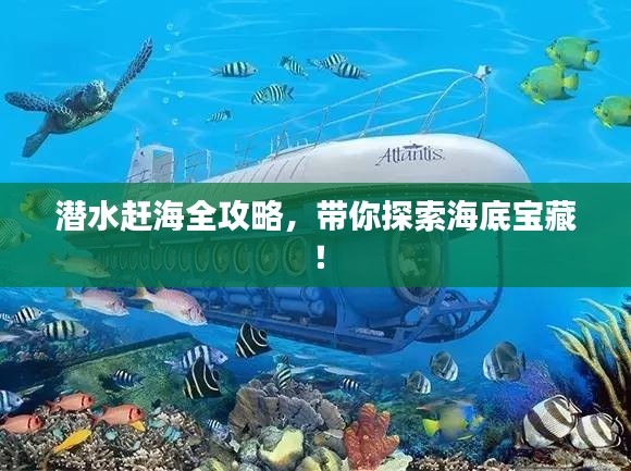 潜水赶海全攻略，带你探索海底宝藏！