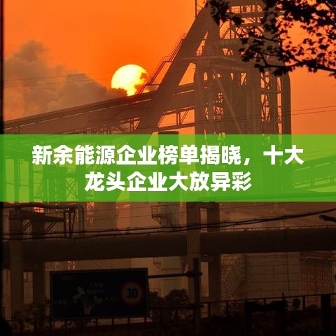 新余能源企业榜单揭晓，十大龙头企业大放异彩