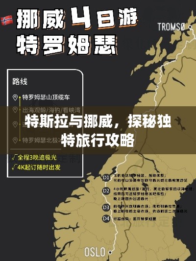 特斯拉与挪威，探秘独特旅行攻略