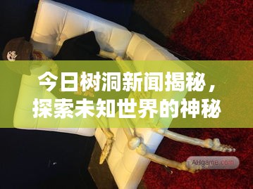 今日树洞新闻揭秘，探索未知世界的神秘面纱