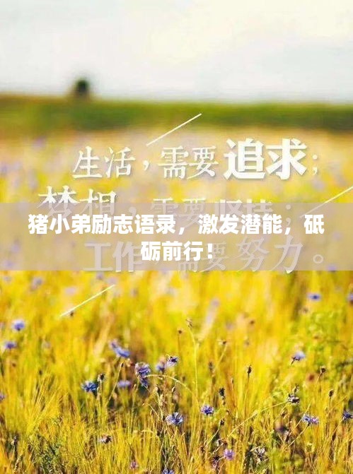 猪小弟励志语录，激发潜能，砥砺前行！