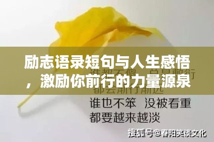 励志语录短句与人生感悟，激励你前行的力量源泉