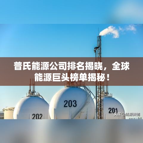 普氏能源公司排名揭晓，全球能源巨头榜单揭秘！