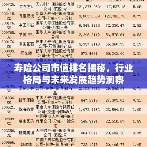 寿险公司市值排名揭秘，行业格局与未来发展趋势洞察