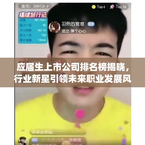 应届生上市公司排名榜揭晓，行业新星引领未来职业发展风向标