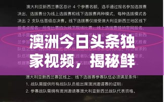 澳洲今日头条独家视频，揭秘鲜活澳洲生活