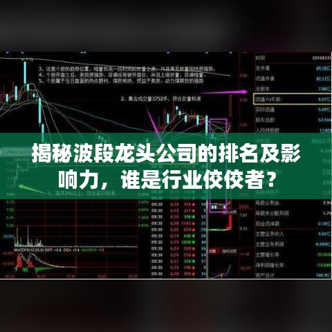揭秘波段龙头公司的排名及影响力，谁是行业佼佼者？