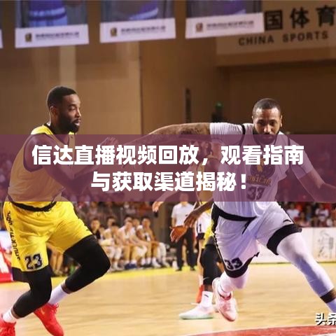 信达直播视频回放，观看指南与获取渠道揭秘！