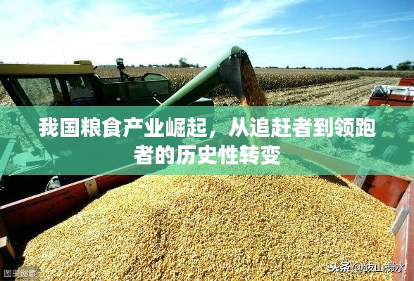 我国粮食产业崛起，从追赶者到领跑者的历史性转变