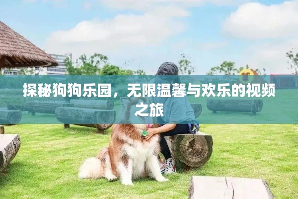 探秘狗狗乐园，无限温馨与欢乐的视频之旅