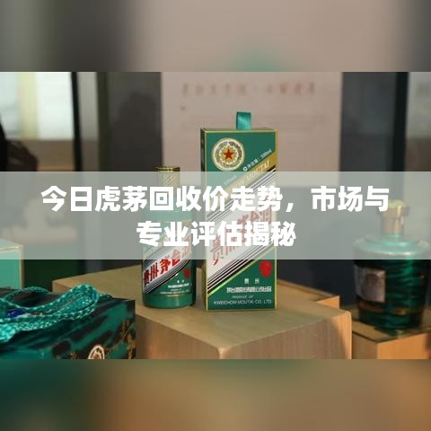 今日虎茅回收价走势，市场与专业评估揭秘
