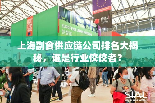 上海副食供应链公司排名大揭秘，谁是行业佼佼者？