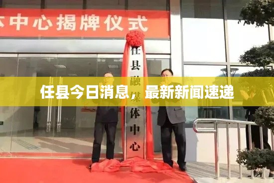 任县今日消息，最新新闻速递