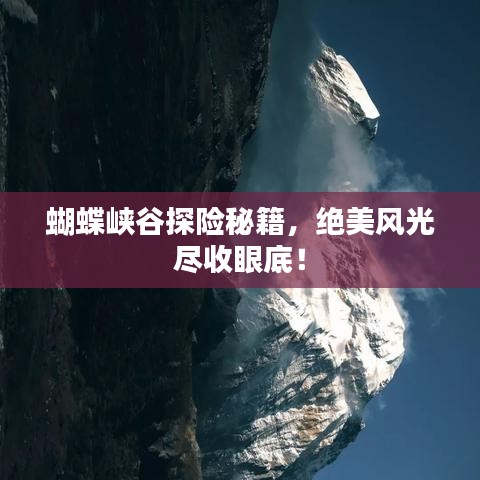 蝴蝶峡谷探险秘籍，绝美风光尽收眼底！