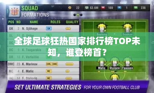 全球足球狂热国家排行榜TOP未知，谁登榜首？