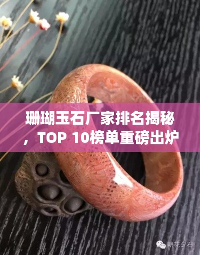 珊瑚玉石厂家排名揭秘，TOP 10榜单重磅出炉！