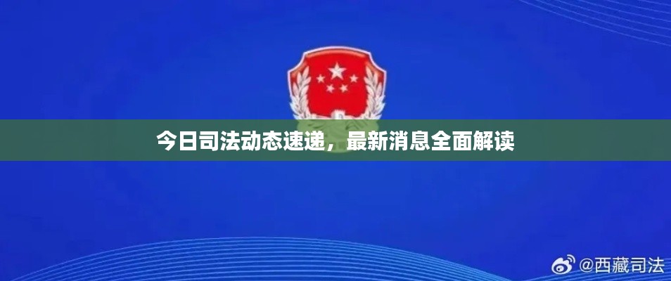 今日司法动态速递，最新消息全面解读