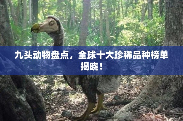 九头动物盘点，全球十大珍稀品种榜单揭晓！