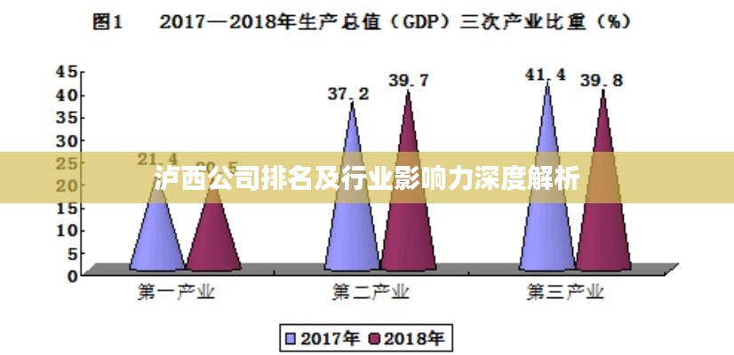泸西公司排名及行业影响力深度解析