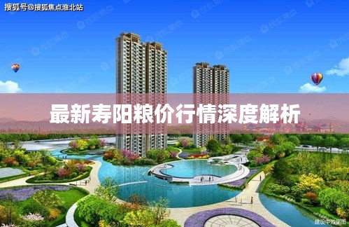 最新寿阳粮价行情深度解析
