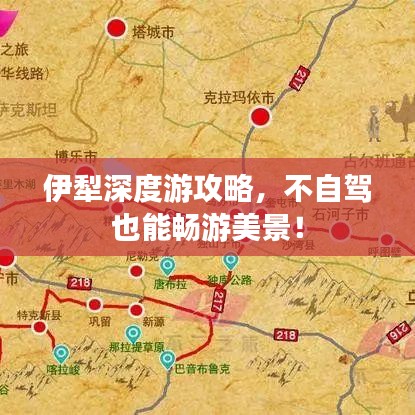 伊犁深度游攻略，不自驾也能畅游美景！